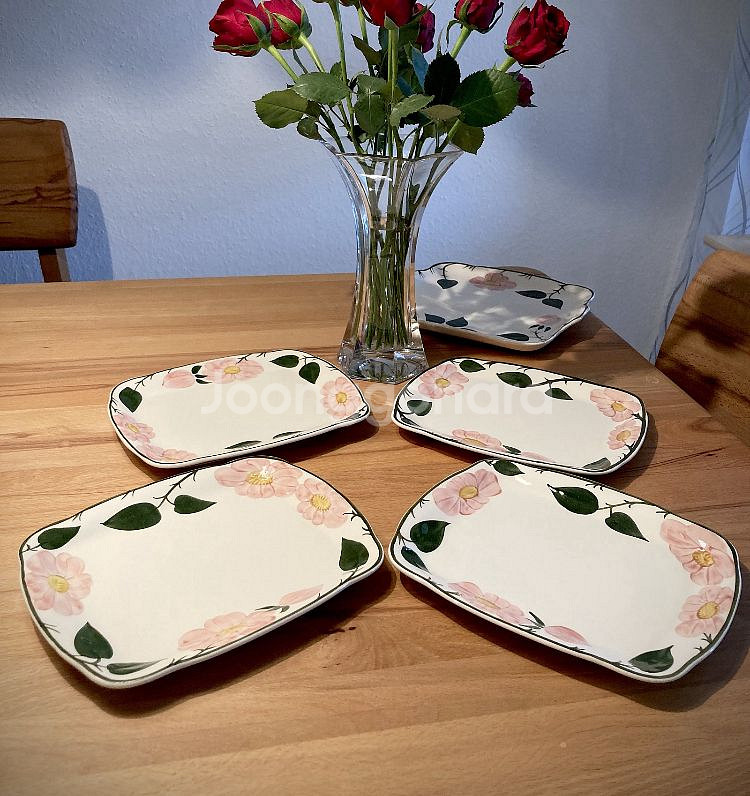 빌레로이앤보흐 와일드로즈 사각접시--0