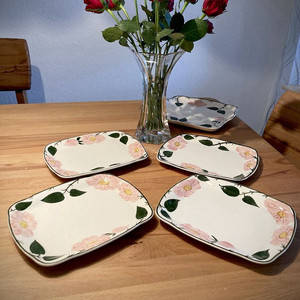 빌레로이앤보흐 와일드로즈 사각접시