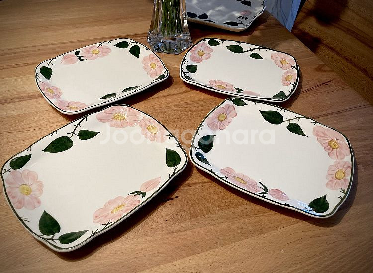 빌레로이앤보흐 와일드로즈 사각접시--1