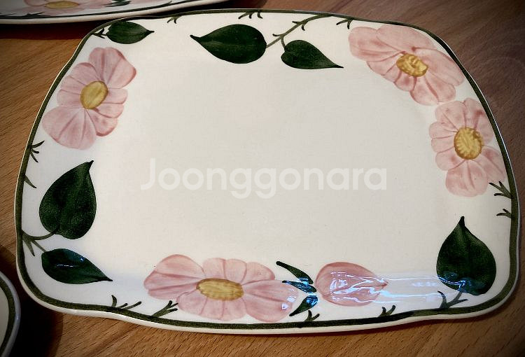 빌레로이앤보흐 와일드로즈 사각접시--2