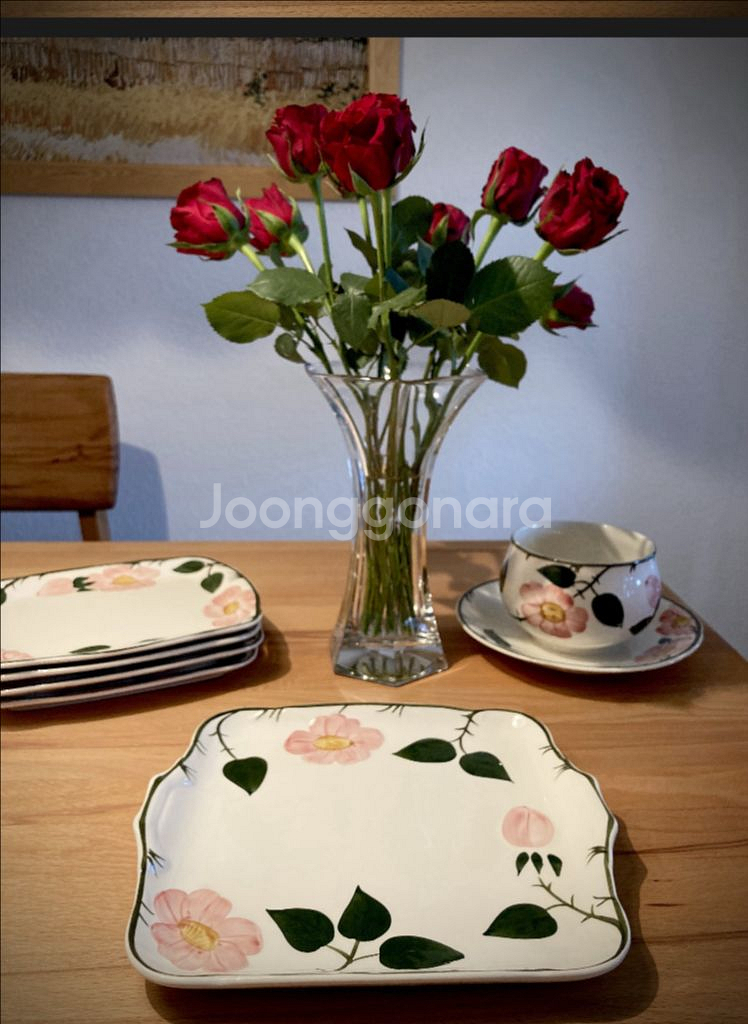 빌레로이앤보흐 와일드로즈 귀달이샌드위치접시--0