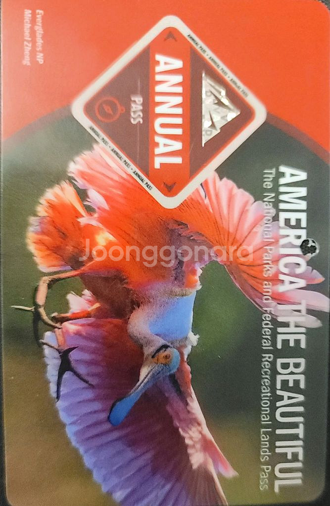 미국국립공원 애뉴얼패스(26년9월까지)--0