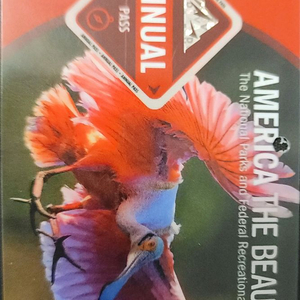 미국국립공원 애뉴얼패스(26년9월까지)