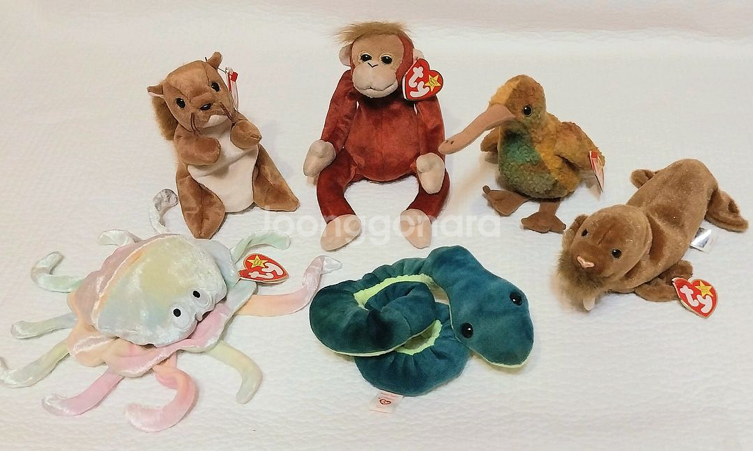 스타벅스 인형, ty동물인형--0