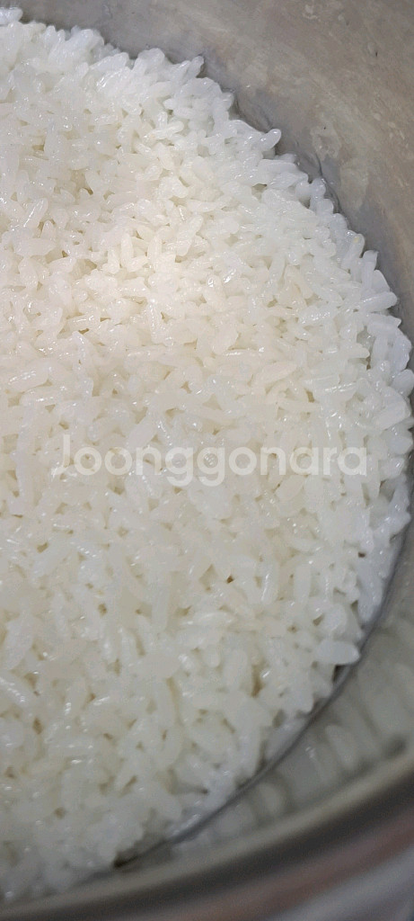 5~6인용 압력밥솥--1