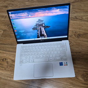 최상급) LG그램 노트북 14Z95N, i5 11세대, 16G, 512G