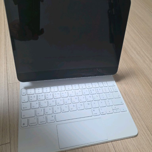 아이패드 프로 11 3세대 m1 1tb, 매직키보드, 애플펜슬