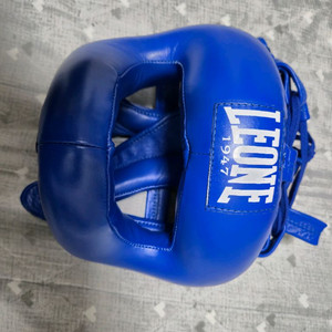복싱 헤드기어