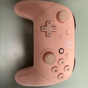 닌텐도 스위치용 패드