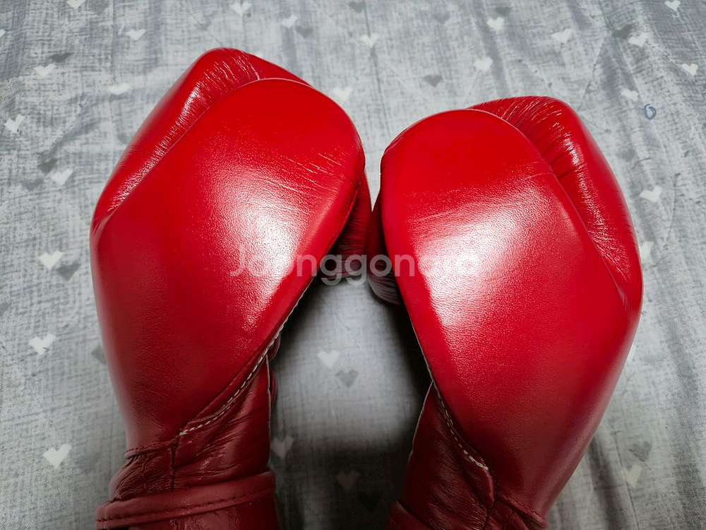 레예스 훅앤루프 12온스 글러브 팝니다--3