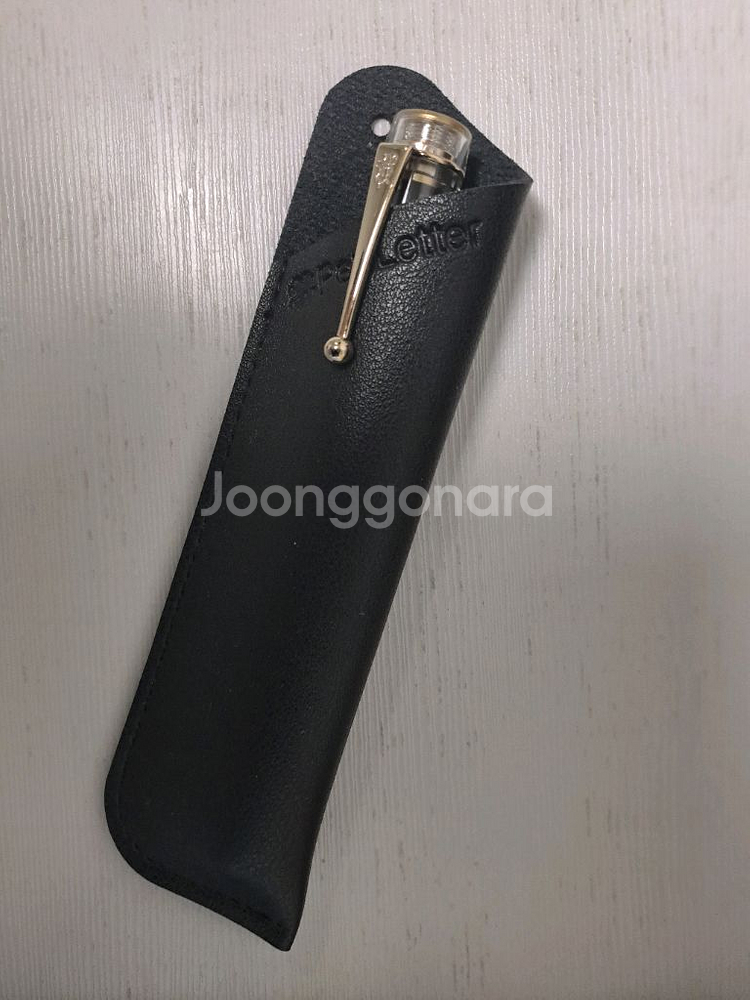 진하오100 센테니얼 만년필--2