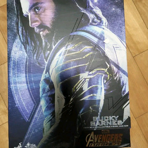 핫토이 인워 버키