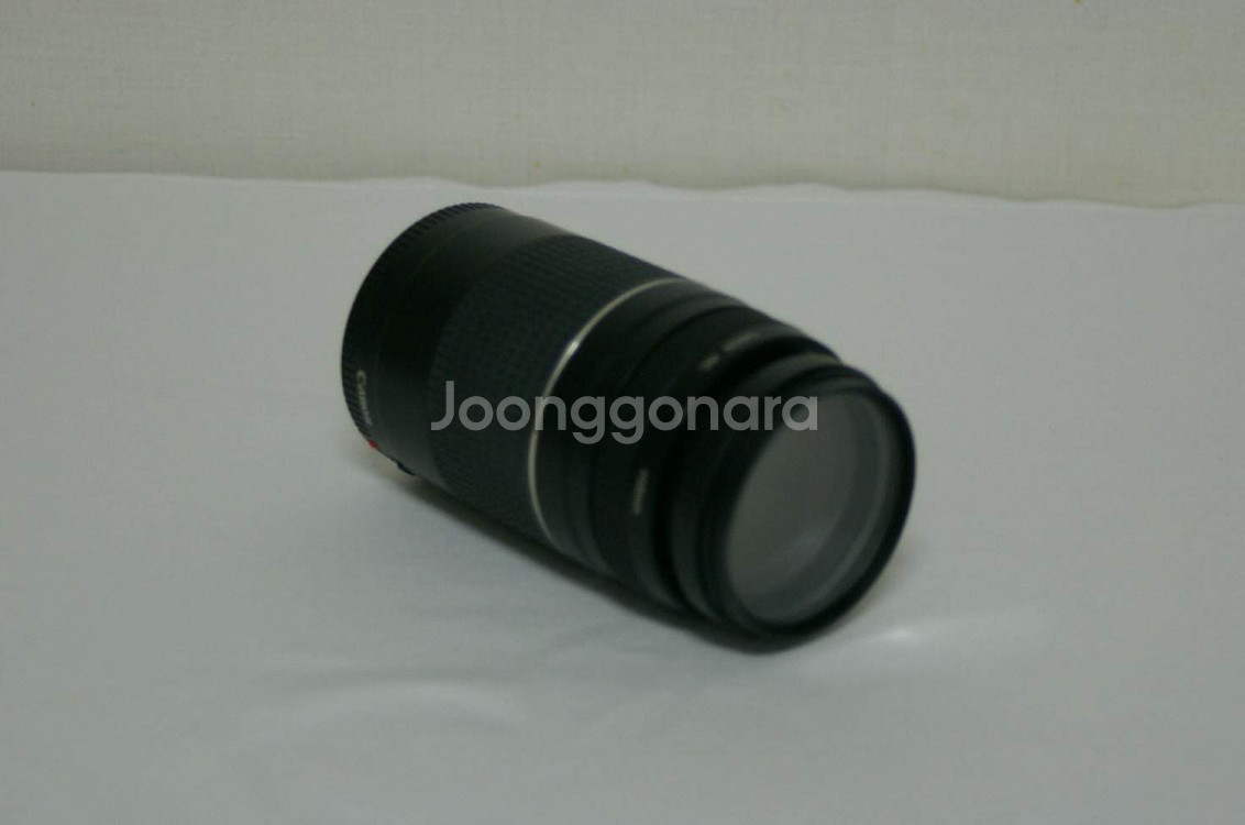 캐논 EF 75-300mm F4L USM 렌즈--4