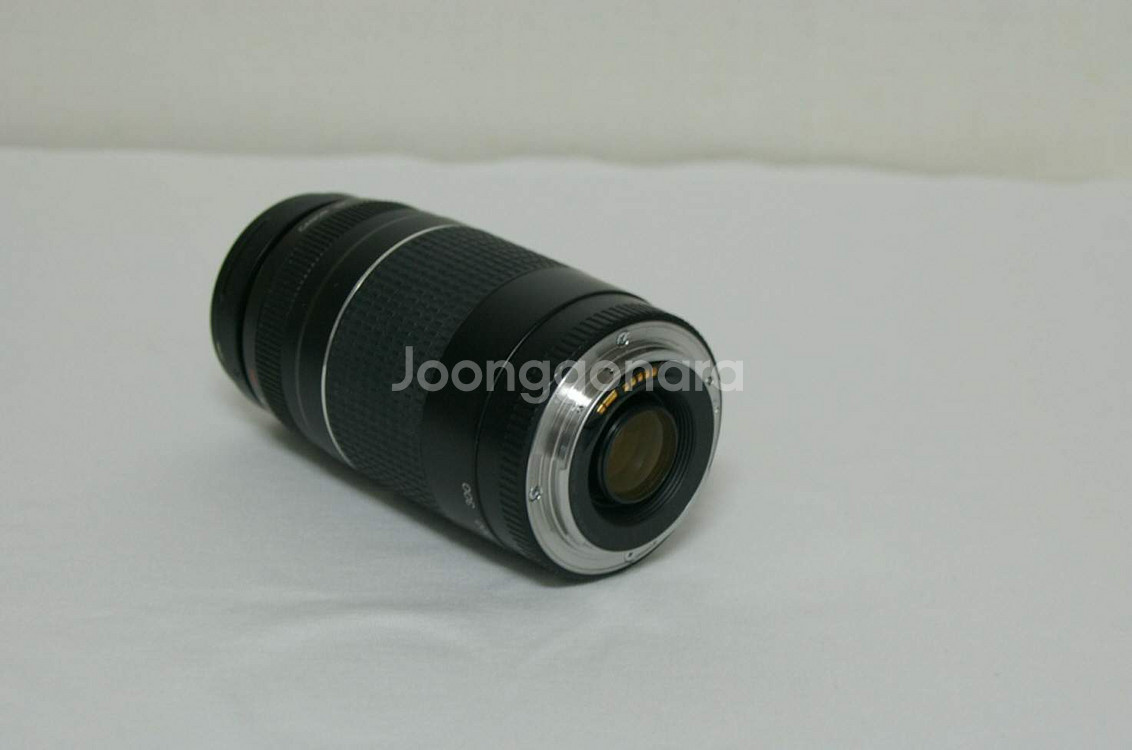 캐논 EF 75-300mm F4L USM 렌즈--6