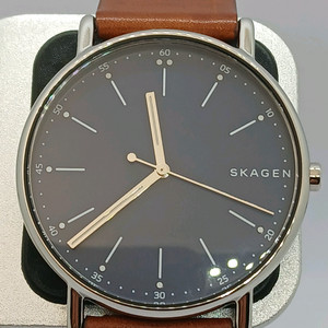 스카겐 HAGEN SKW6478 시계