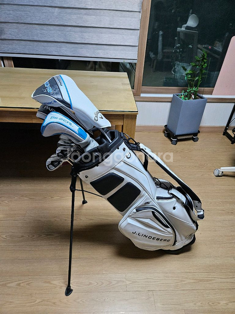 여성용 캘러웨이 신형풀세트 및 제이릴드버그 스탠드--2