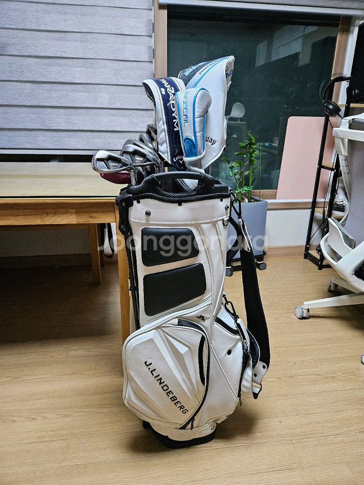 여성용 캘러웨이 신형풀세트 및 제이릴드버그 스탠드--4