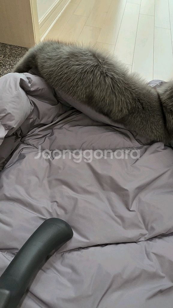 시스템 구스 타임 랑방 더캐시미어 마인 보웬 시에--7