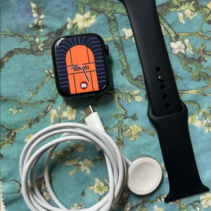 애플워치7에르메스 45mm 누아 SSS급