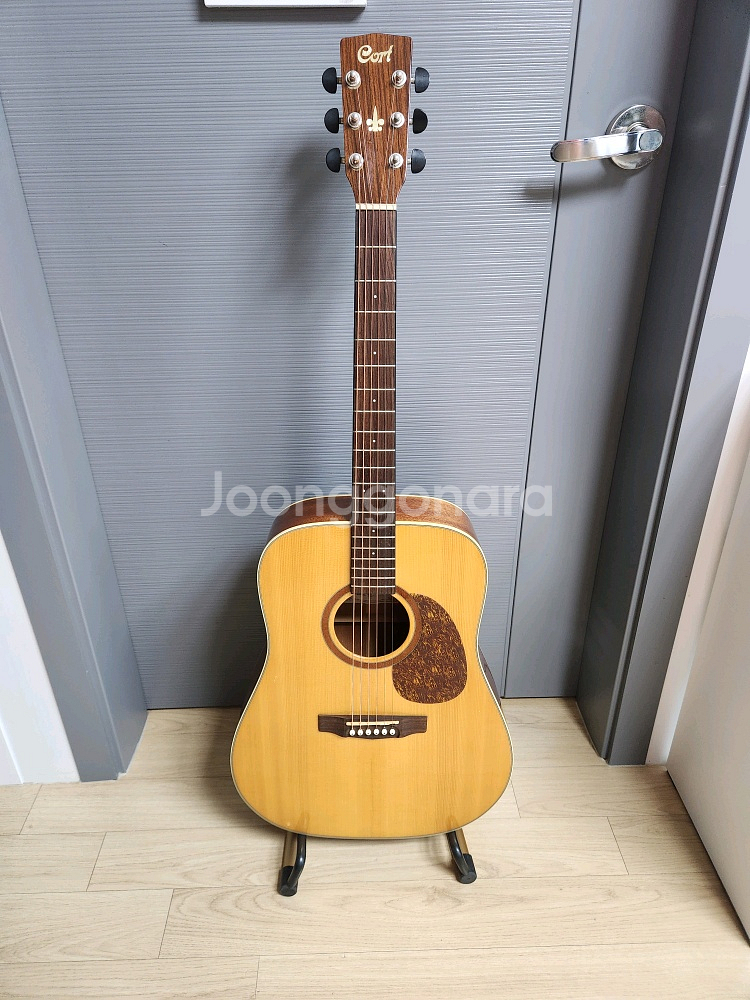 콜트 EARTH-100 통기타 판매 합니다.--5