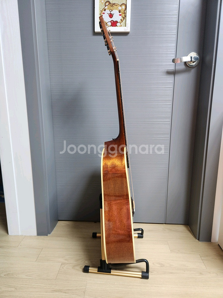 콜트 EARTH-100 통기타 판매 합니다.--2