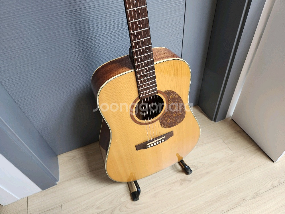 콜트 EARTH-100 통기타 판매 합니다.--7