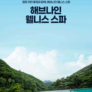 제천 리솜포레스트 해브나인스파 2인