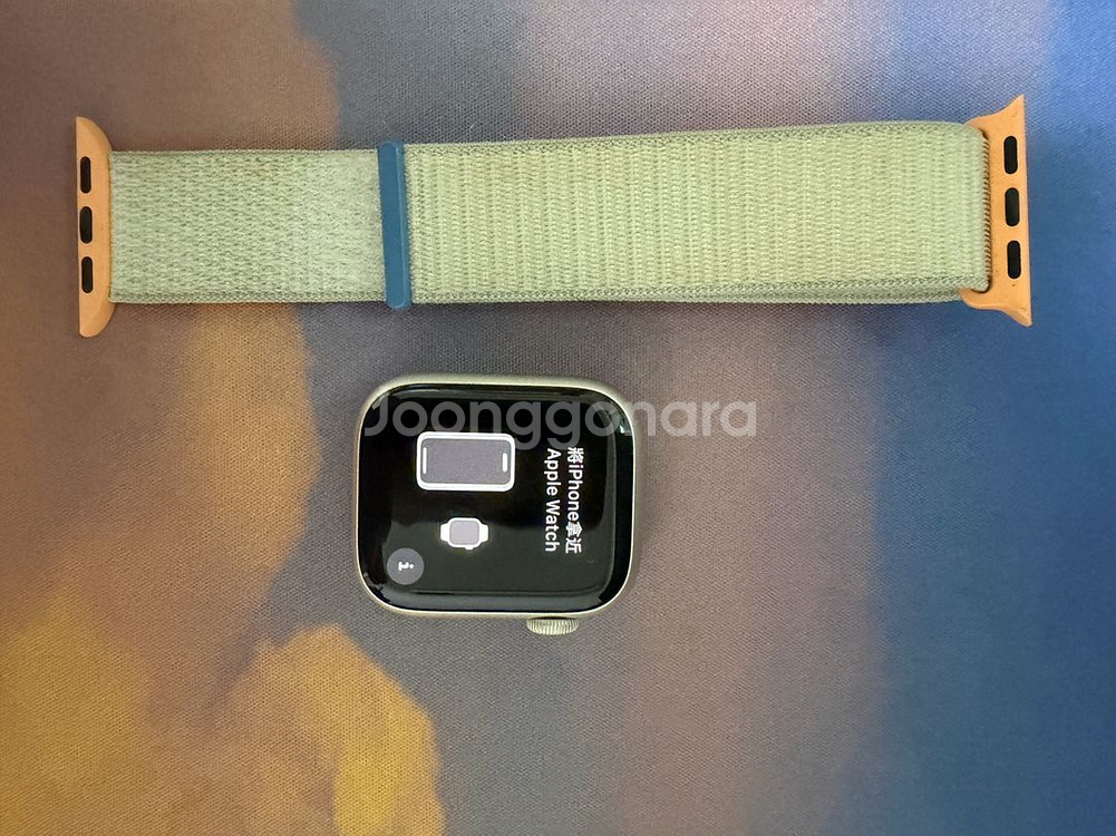 애플워치 9 스타라이트 41mm gps 애플케어--5