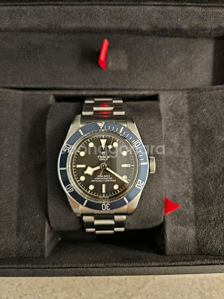 튜더블랙베이 튜더 튜더시계 아쿠아레이서 태그호이어 청판--0