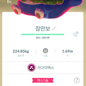 포켓몬고 거다이맥스 이로치 잠만보 판매