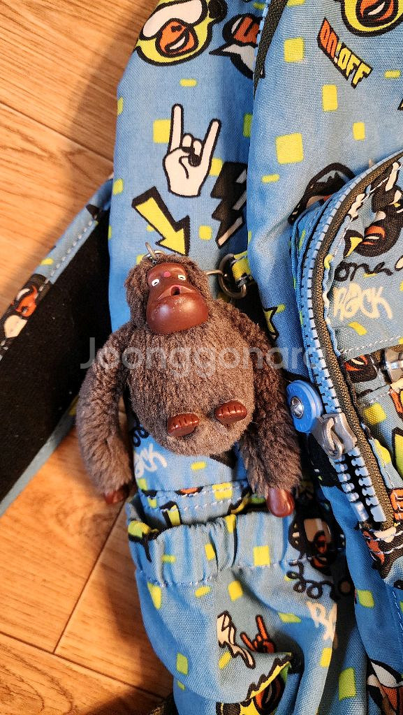 키플링 백팩 2개--1