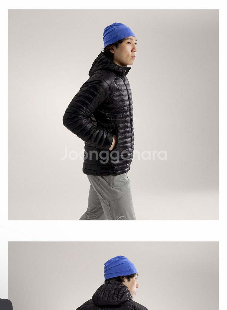 아크테릭스 세륨 Sl 후디 라지 사이즈--2