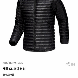 아크테릭스 세륨 Sl 후디 라지 사이즈