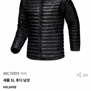 아크테릭스 세륨 Sl 후디 라지 사이즈