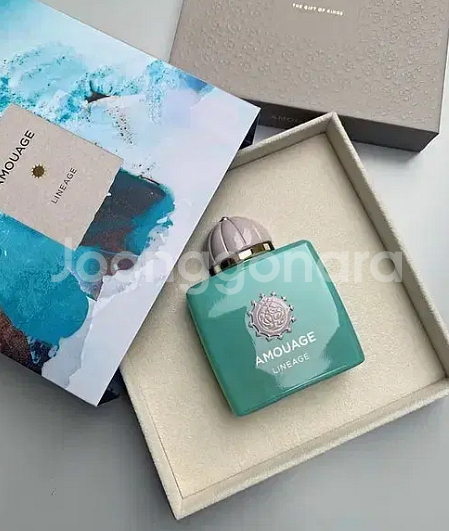 [무배, 새상품] 아무아쥬 리니지 EDP 100ML--0