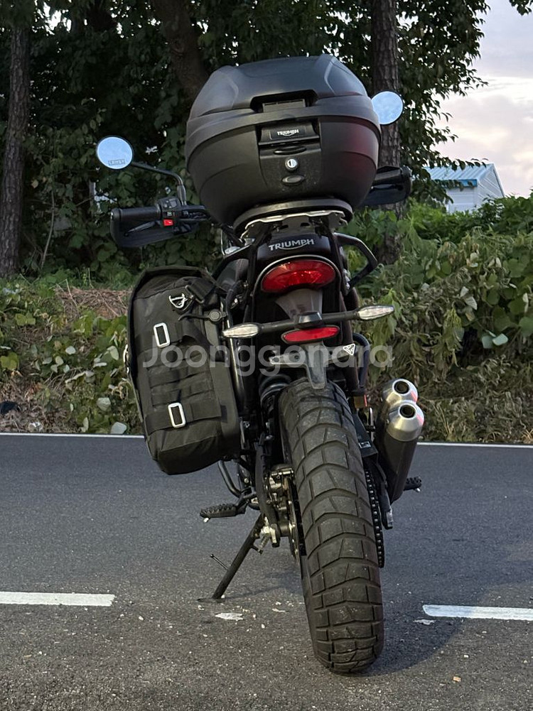 트라이엄프 스크램블러400x--6