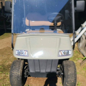 2인승 골프카 골프카트 판매합니다