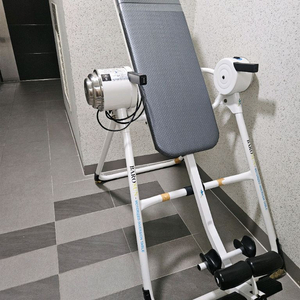 바로선 전동 거꾸리