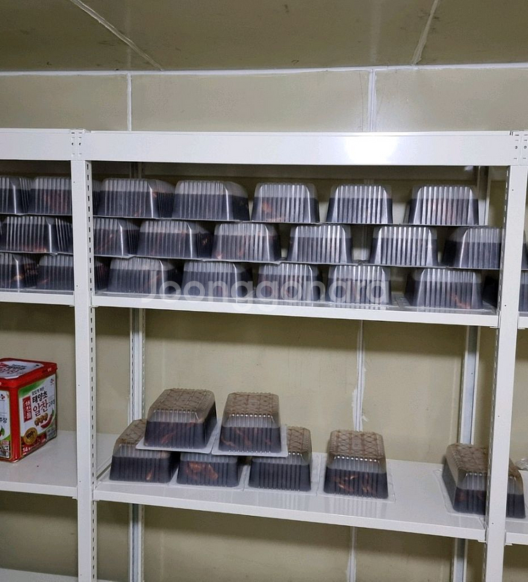 우성 컵실링기 식품 포장기계--5