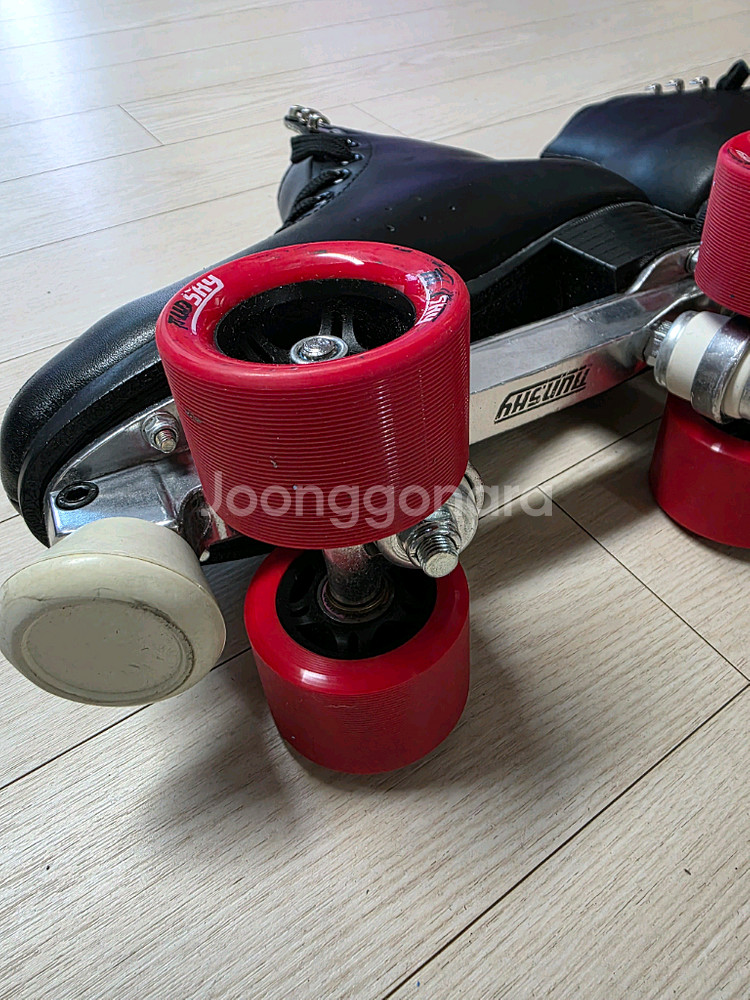 롤러스케이트--1