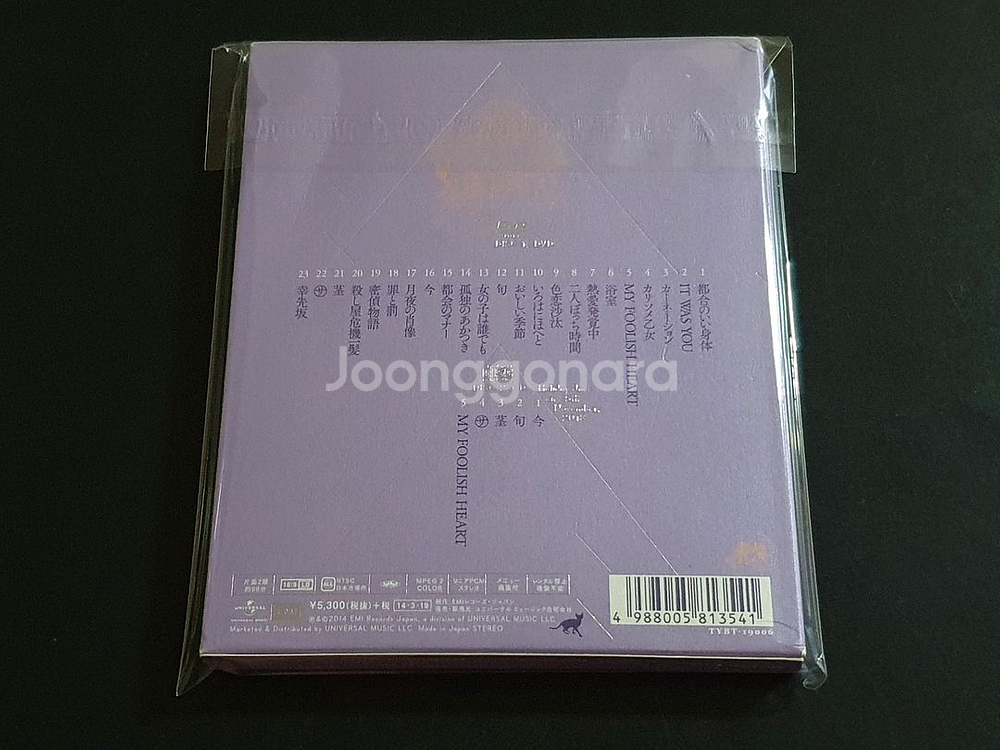 시이나링고 라이브 영상 카미야마쵸 공연 (DVD+CD)--2