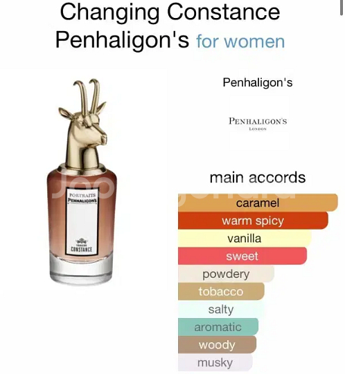 포트레이츠 콘스탄스 향수 70ml--6