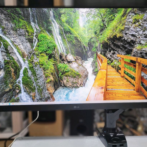 LG(24GL650) 울트라기어 게이밍모니터