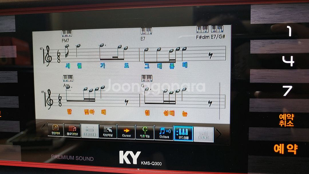 금영 고급형이동식노래방세트--5
