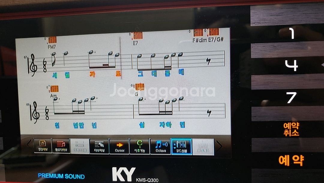 금영 고급형이동식노래방세트--6