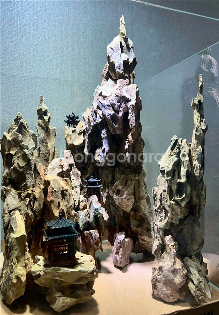 30하이큐브 황호석 레이아웃 어항 팔루다리움(배송가능)--1