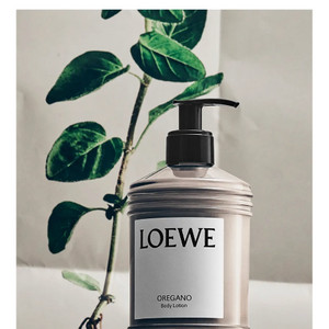 로에베 아이비 바디로션 360ML