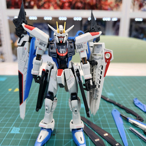 RG 프리덤 건담 정크