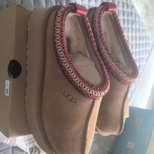 어그-타즈1.0(1122553(240)