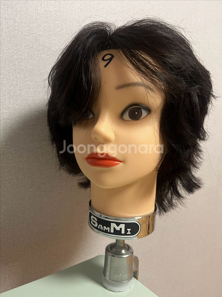 국가고시용 통가발 인모100 레이어드 컷 가발--1